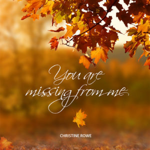 You are missing from me front cover